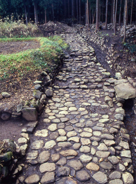 白山平泉寺旧境内より発掘された中世の石畳道 白山平泉寺旧境内より発掘された中世の石畳道